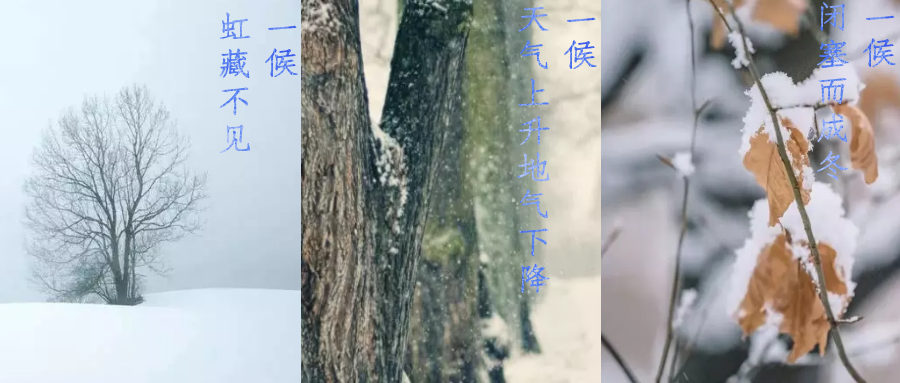今日小雪，寒潮來(lái)襲，洗瓶機(jī)來(lái)幫你解放雙手吧！