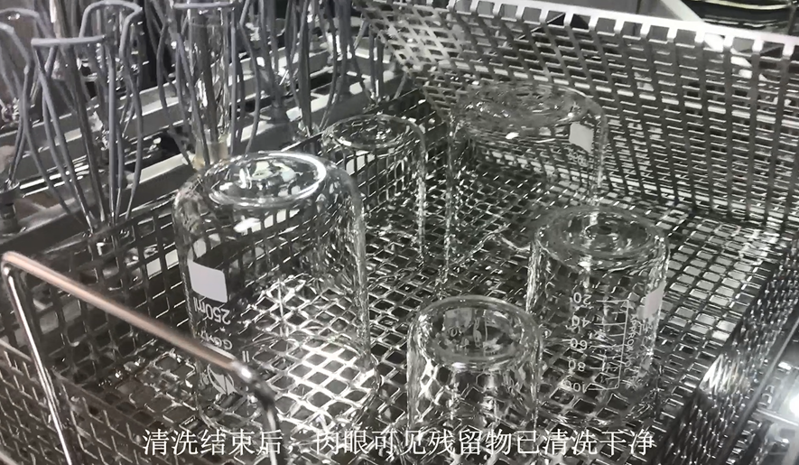 智能清潔新風尚：全自動洗瓶機，品質清洗新體驗